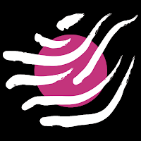 Logo de Drôles 2 zèbres Studio