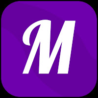 Logo de Melvin Studio