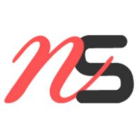Logo de NETSOLVIS