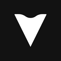 Logo de Vinidin