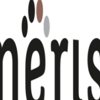 Logo de Neris Web
