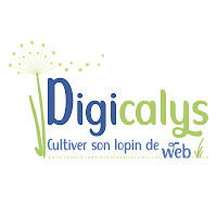 Logo de Digicalys - Agence de communication numérique & développement web