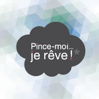 Logo de Pince-moi je rêve / graphiste freelance