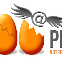 Logo d'Agence web sur Cognac - PEP's WEB
