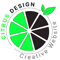 Logo de Citrus Design | Création de site internet Pays de Retz
