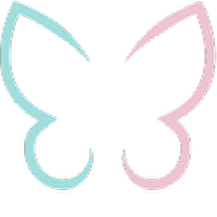 Logo de Nollipap Web