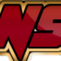 Logo de NEWTON SERVICES