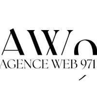 Logo d'Agence Web 971 - SEO local Guadeloupe