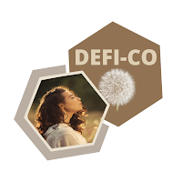 Logo de Defi-co