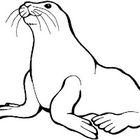 Logo de Damien Clauzel