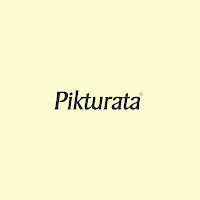 Logo de Pikturata Studio
