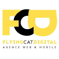 Logo de Flying Cat Digital