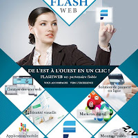 Logo de Flash web