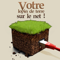 Logo de RoQnWebSite