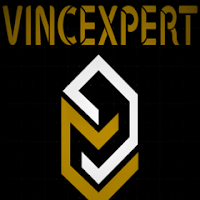 Logo de Vince Expert Consulting