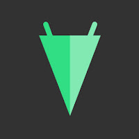 Logo de BVE Consulting