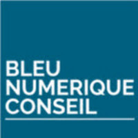 Logo de BLEU NUMERIQUE CONSEIL