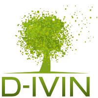 Logo de D-IVIN