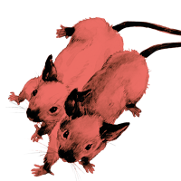 Logo des Souris Dansent