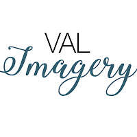 Logo de Valimagery