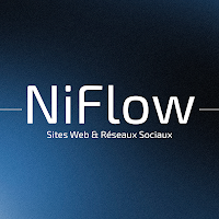 Logo de NiFlow - Agence Web
