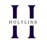 Logo de Holylink