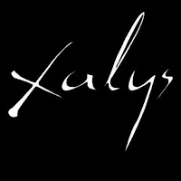 Logo de XALYS DESIGN