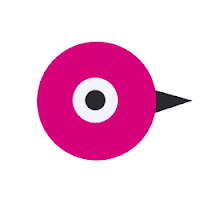 Logo de Design Studio BIRD IDEA