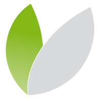 Logo de Green IT Consulting