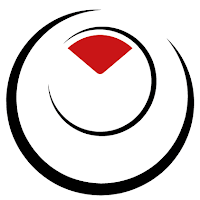 Logo de Vision Oblique