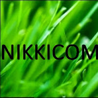 Logo de Nikkicom