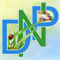 Logo de Design Nature Perso