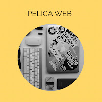 Logo de PELICA WEB - Pauline Desmares, développeur web