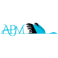 Logo d'APM CRÉATION SITES WEB