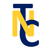 Logo de Théo Noyer Consulting
