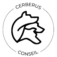 Logo de Cerberus Conseil