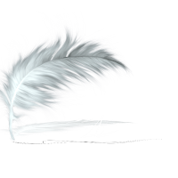 Logo d'Alex solution