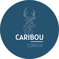 Logo de CARIBOU CONSEIL - Agence Marketing en Provence
