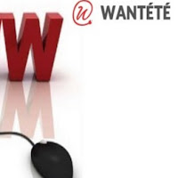 Logo de WANTETE HOSTING