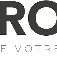 Logo de LS Project agence en référencement naturel, agence seo