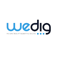 Logo de Wedig Vannes Agence Webmarketing Digitale