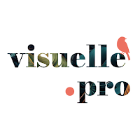 Logo de Visuelle.pro