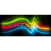 Logo de Vesontio