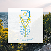 Logo de Cigale Studio