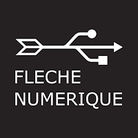 Logo de Flèche Numérique - Création de sites internet