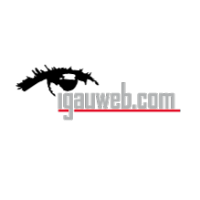 Logo d'igauweb
