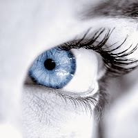 Logo de Neuromediasoft