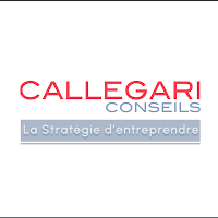 Logo de CALLEGARI Conseils