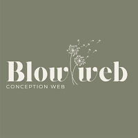 Logo de Blow Web