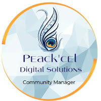 Logo de Peack'cel Digital Solutions